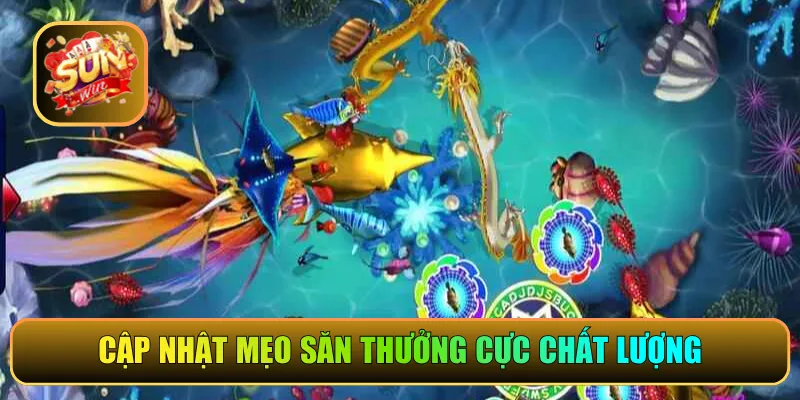 Cập nhật mẹo săn thưởng cực chất lượng